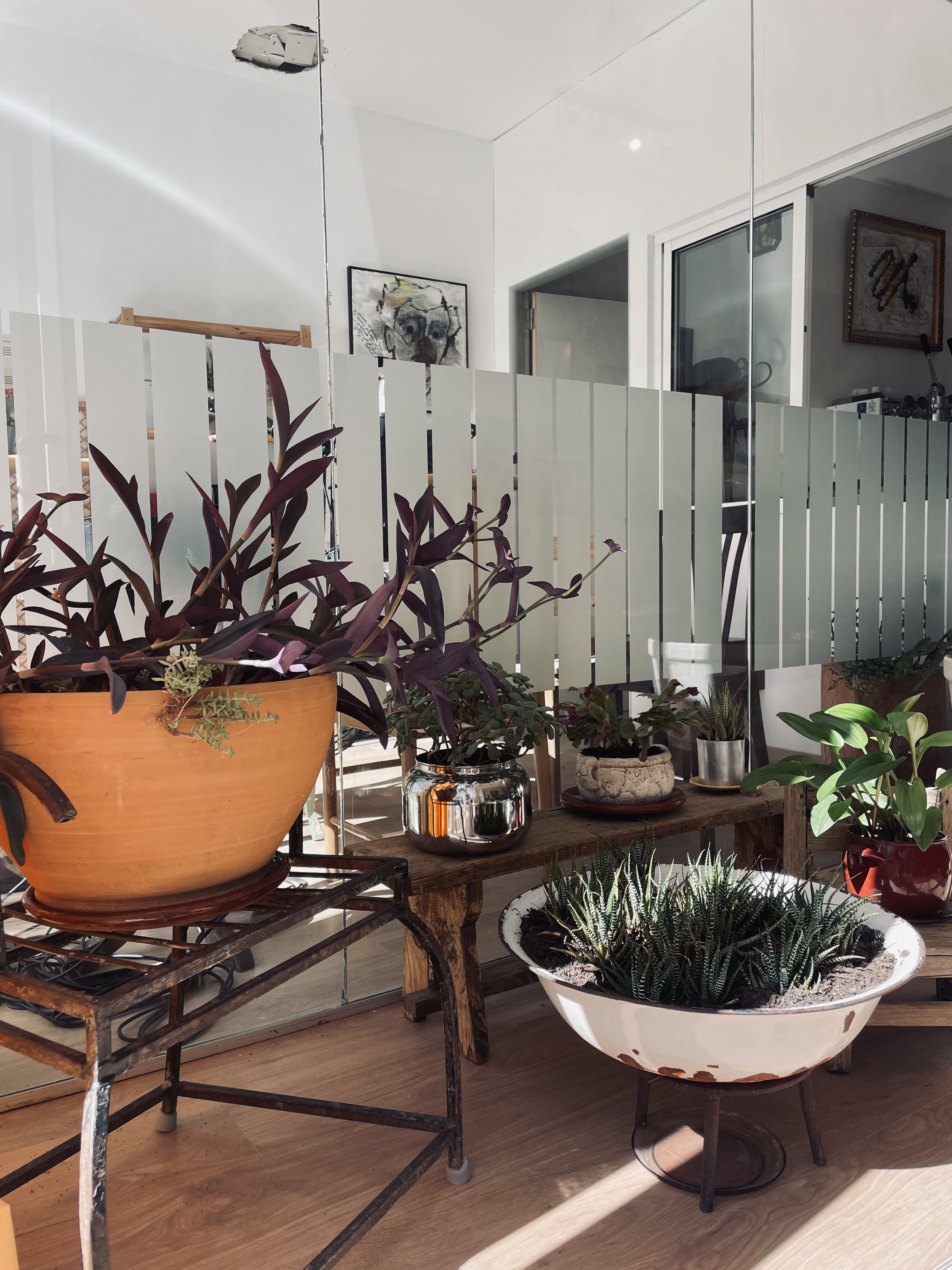 Programa Residencias