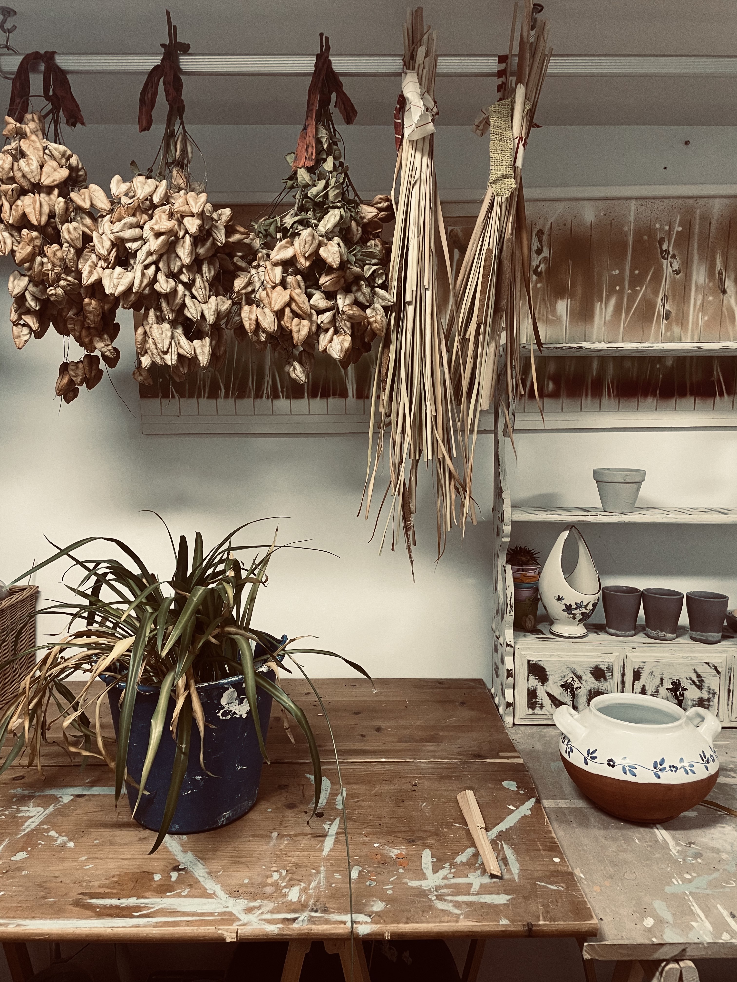 Programa Residencias