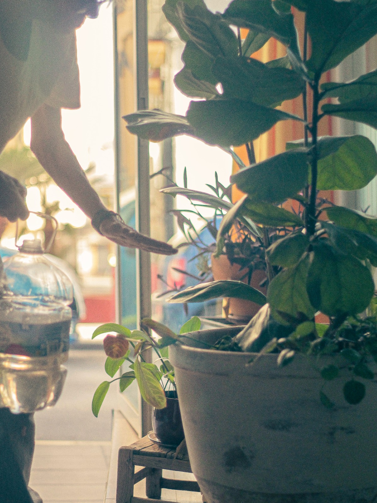 Programa Residencias