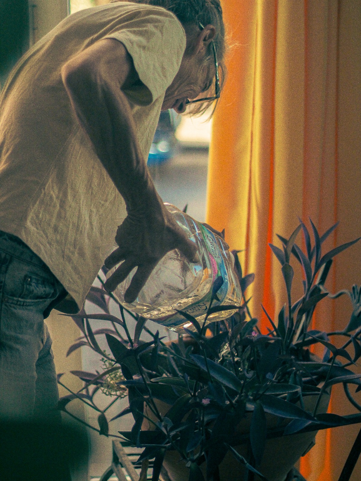 Programa Residencias