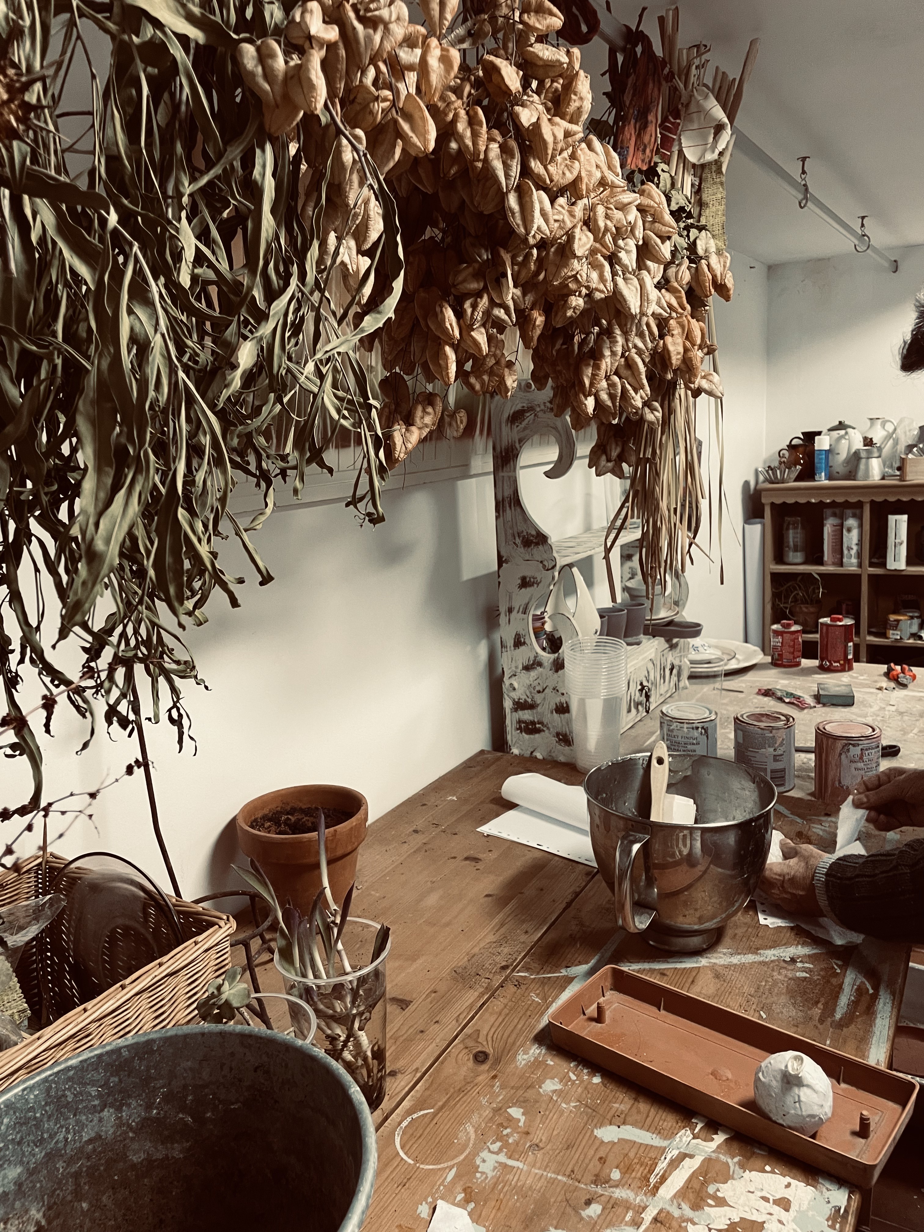 Programa Residencias