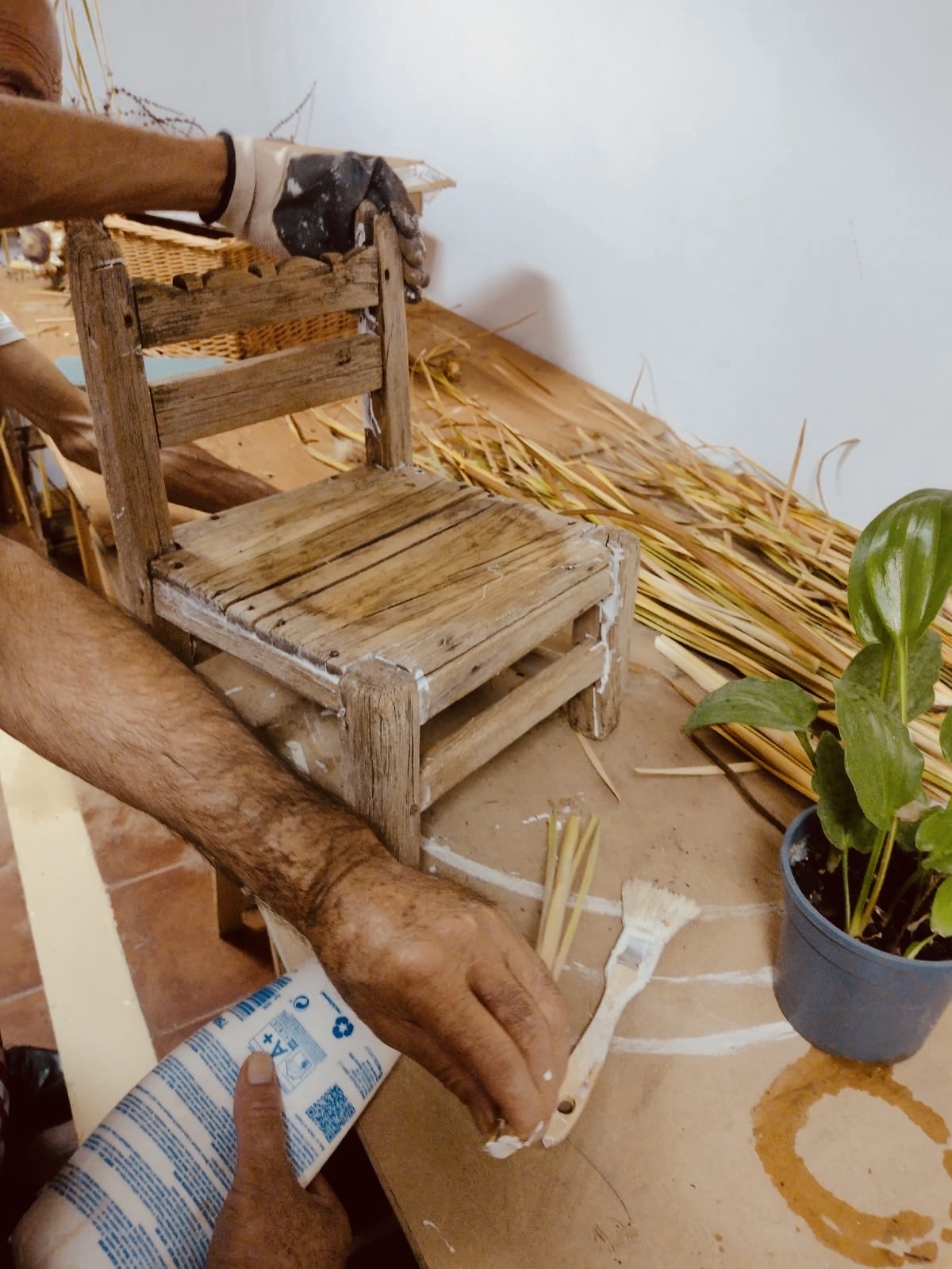 Programa Residencias