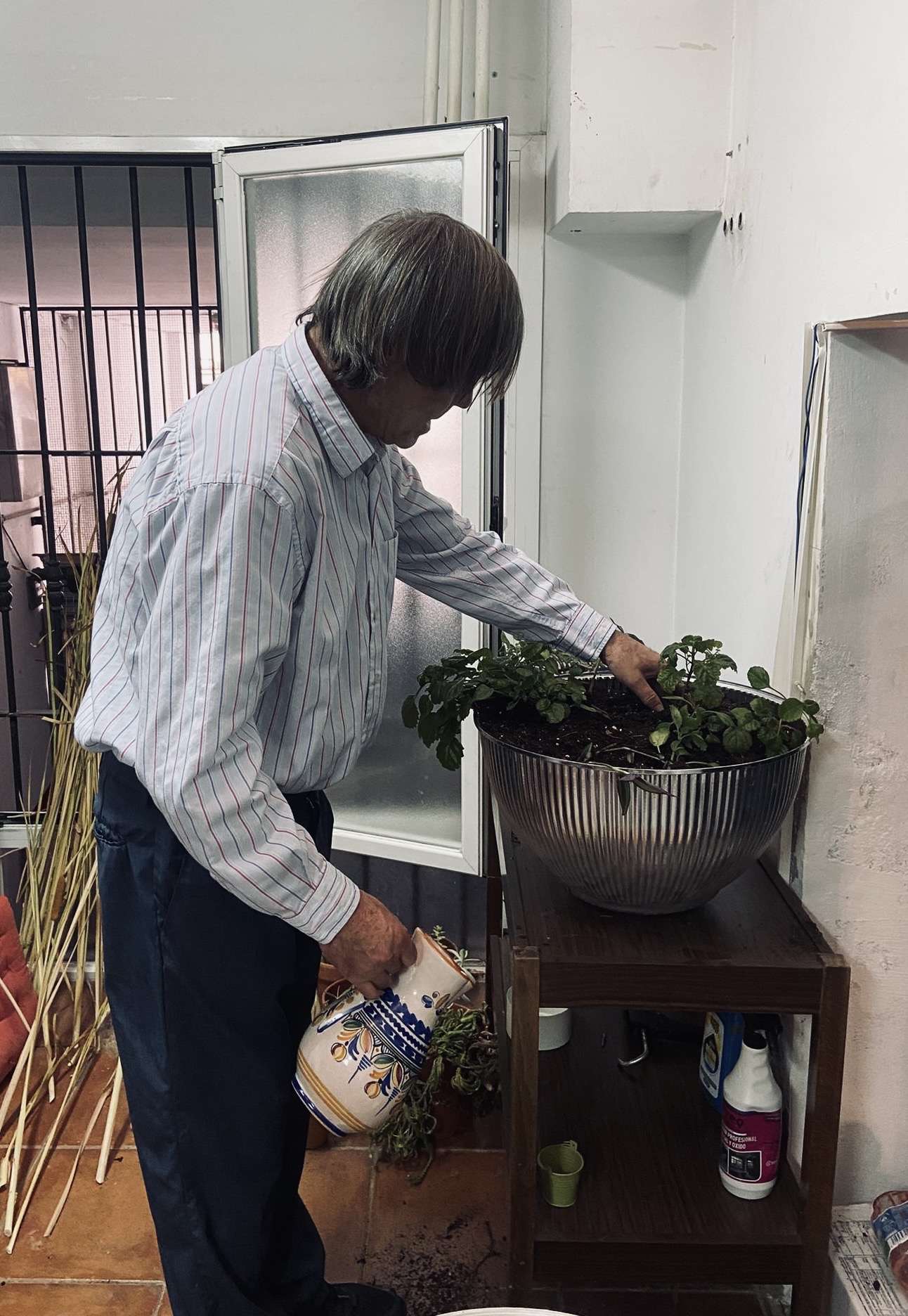 Programa Residencias