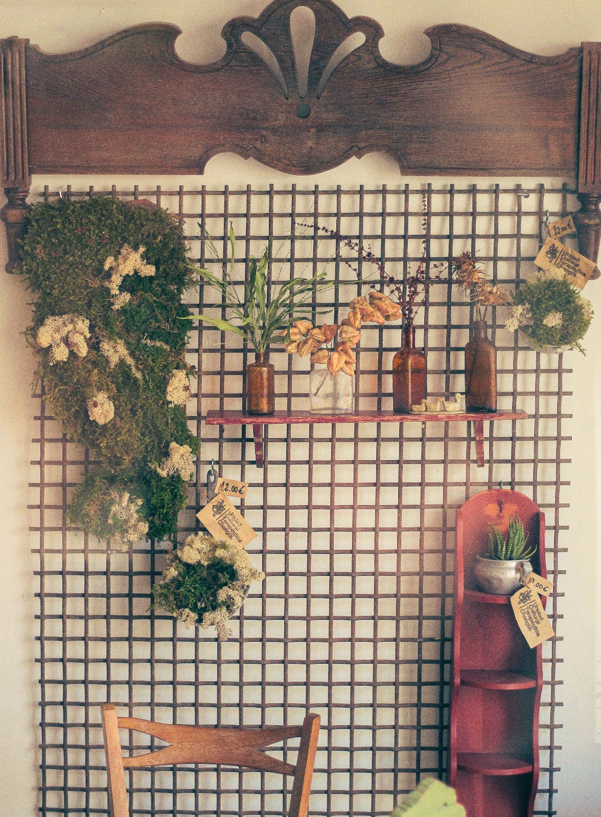 Programa Residencias